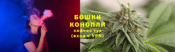 МДПВ Новозыбков