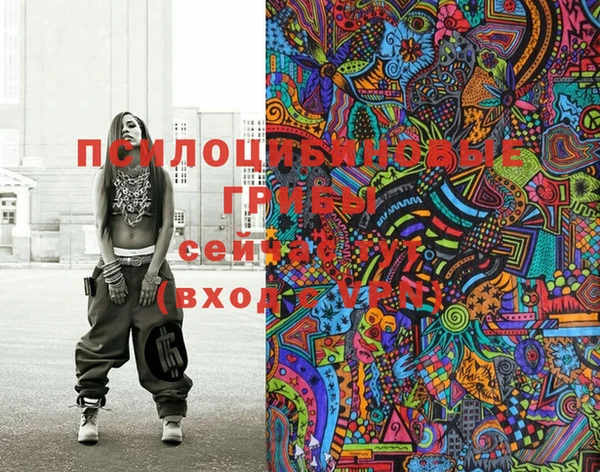 крисы Михайловск