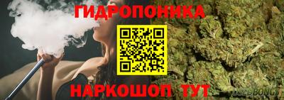 2c-b Гатчина