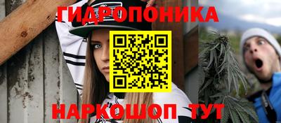 стафф Абакан