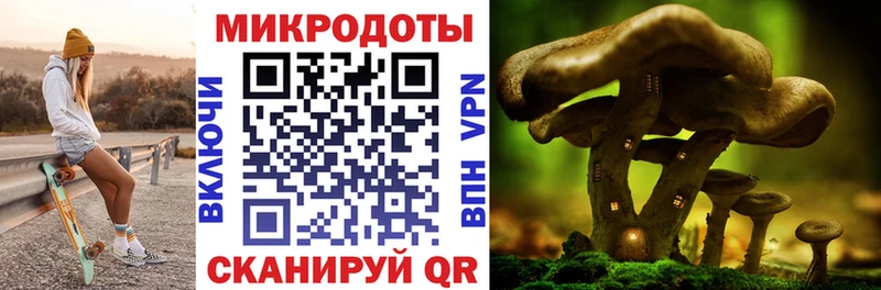Псилоцибиновые грибы Magic Shrooms хочу Алатырь