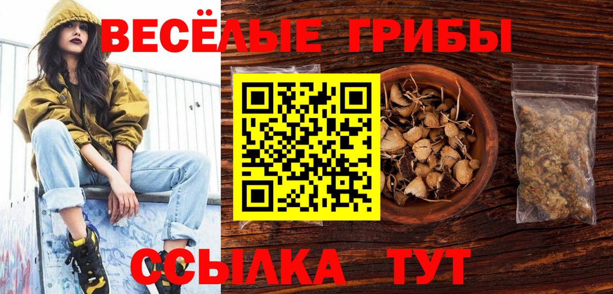 Псилоцибиновые грибы прущие грибы Алатырь