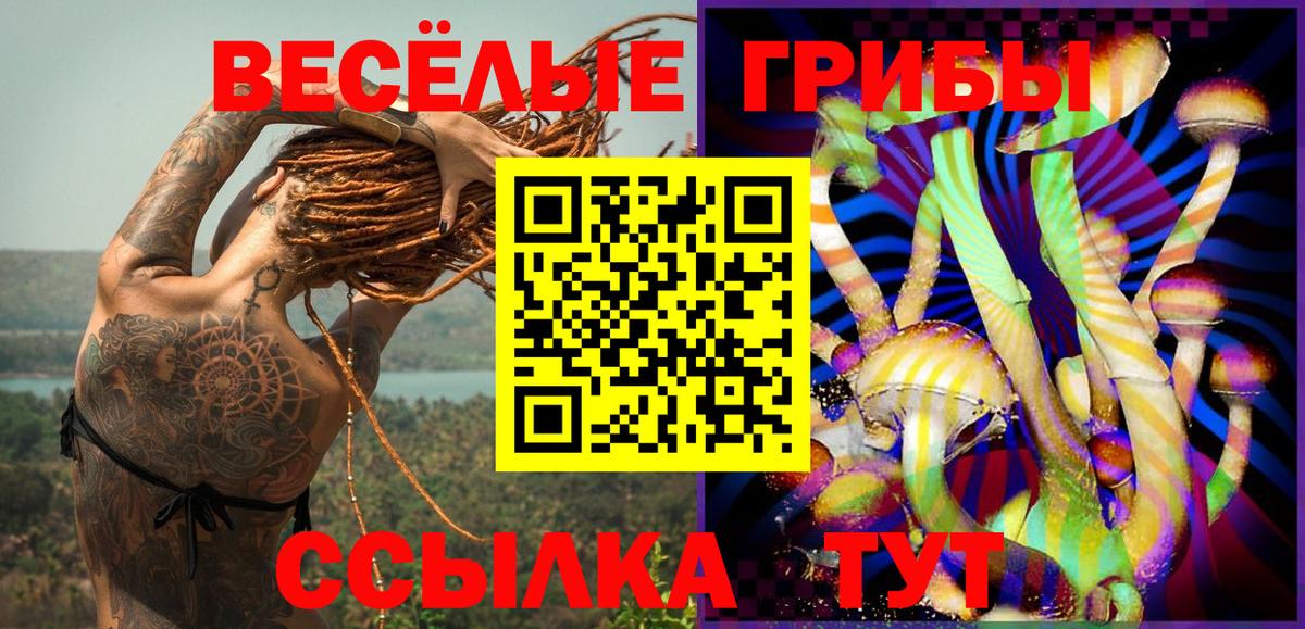 Псилоцибиновые грибы Magic Shrooms Алатырь