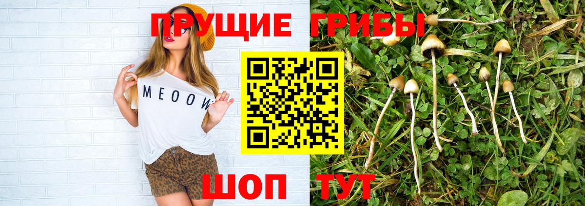 Галлюциногенные грибы мицелий  Вход с VPN  Алатырь  Псилоцибиновые грибы Cubensis 