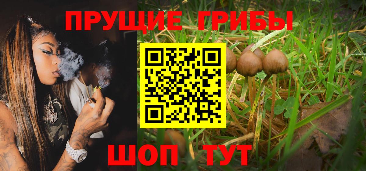 Галлюциногенные грибы Cubensis  Алатырь 