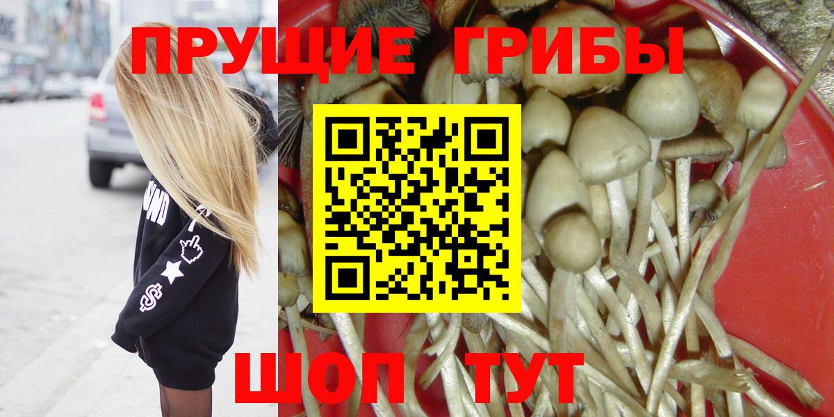 Галлюциногенные грибы мухоморы Алатырь