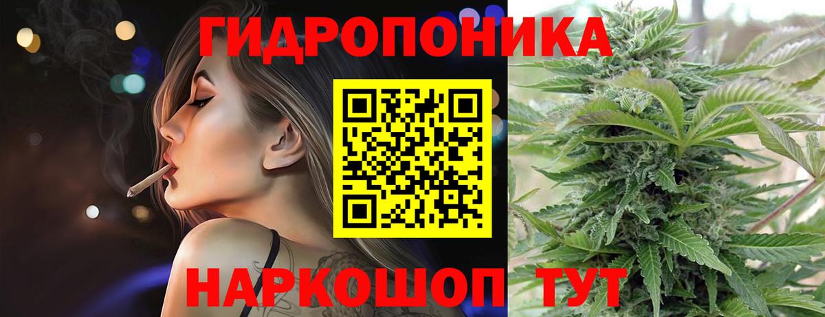 Конопля OG Kush  Бошки марихуана сатива  Вход с VPN  Канабис Bruce Banner  Алатырь 